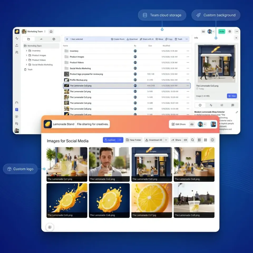 Modern file sharing with link controls and permissions