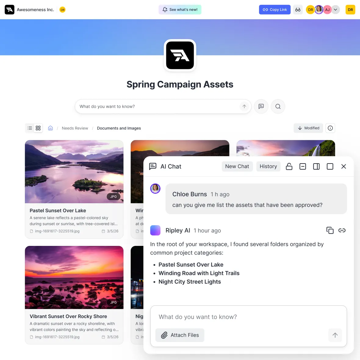 Customized client portal interface
