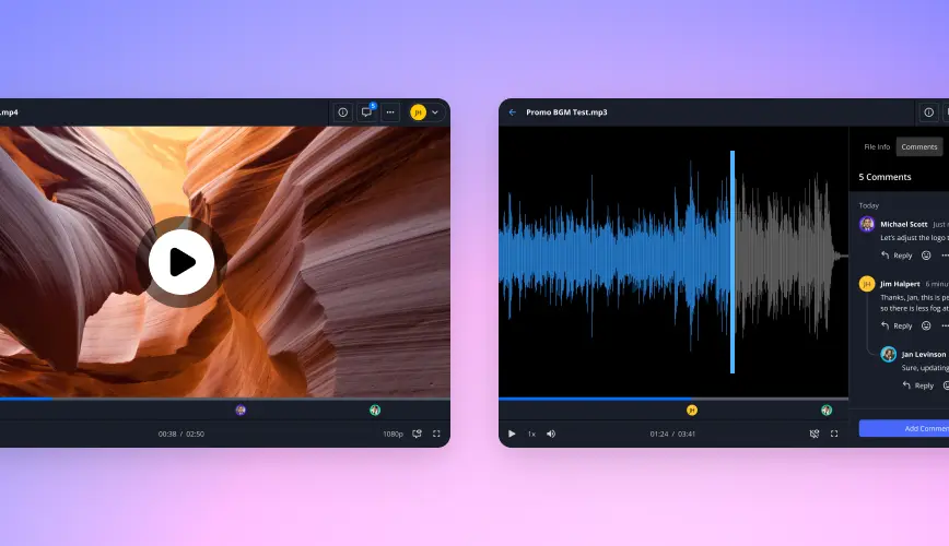 Video Annotation Interface