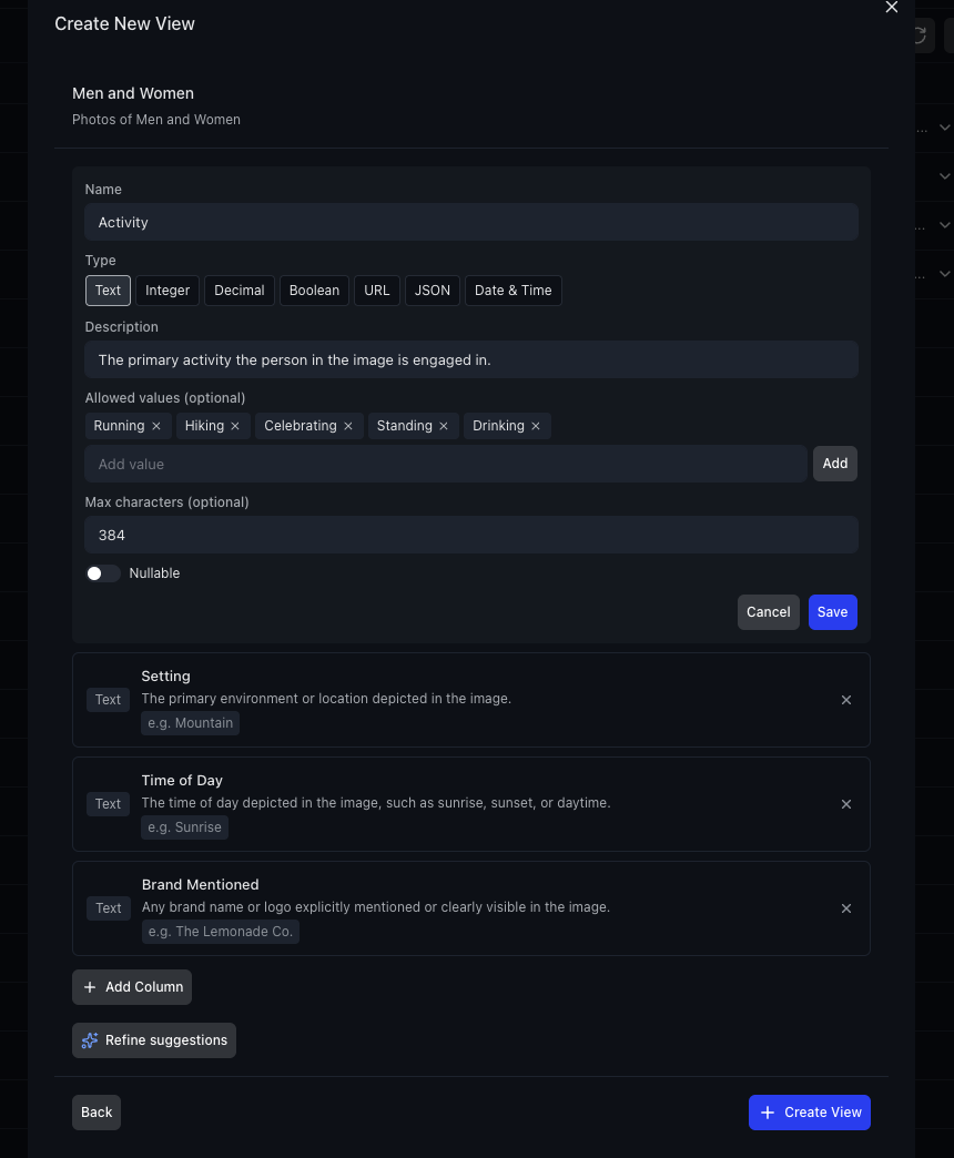 Column editor showing field configuration with type, description, and allowed values